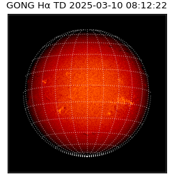 gong - 2025-03-10T08:12:22