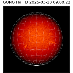 gong - 2025-03-10T09:00:22
