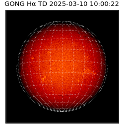 gong - 2025-03-10T10:00:22