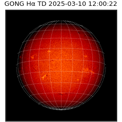 gong - 2025-03-10T12:00:22