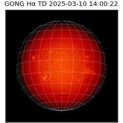 gong - 2025-03-10T14:00:22