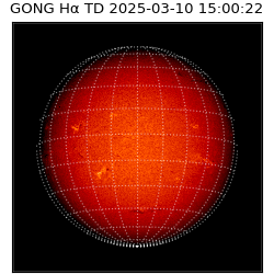 gong - 2025-03-10T15:00:22