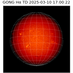 gong - 2025-03-10T17:00:22