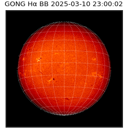 gong - 2025-03-10T23:00:02