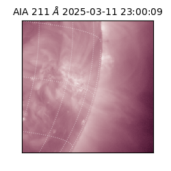 saia - 2025-03-11T23:00:09.632000