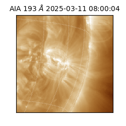 saia - 2025-03-11T08:00:04.843000