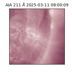 saia - 2025-03-11T08:00:09.633000