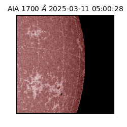 saia - 2025-03-11T05:00:28.709000