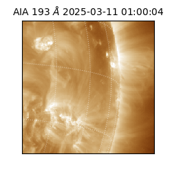 saia - 2025-03-11T01:00:04.843000