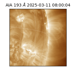 saia - 2025-03-11T08:00:04.843000