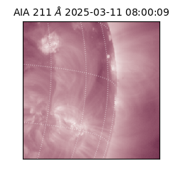 saia - 2025-03-11T08:00:09.633000