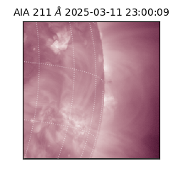 saia - 2025-03-11T23:00:09.632000