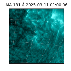 saia - 2025-03-11T01:00:06.630000