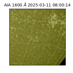 saia - 2025-03-11T08:00:14.125000