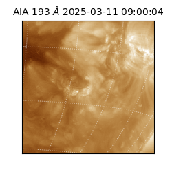 saia - 2025-03-11T09:00:04.843000