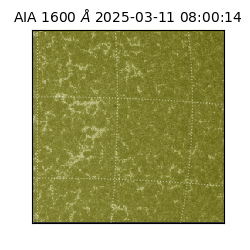 saia - 2025-03-11T08:00:14.125000