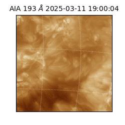 saia - 2025-03-11T19:00:04.836000