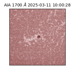 saia - 2025-03-11T10:00:28.717000