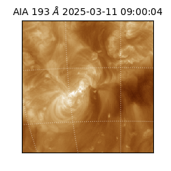 saia - 2025-03-11T09:00:04.843000