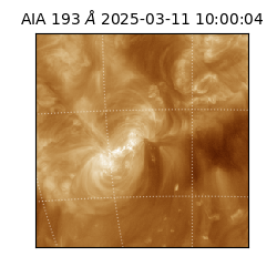 saia - 2025-03-11T10:00:04.835000