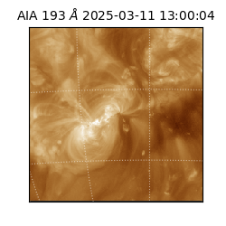 saia - 2025-03-11T13:00:04.843000