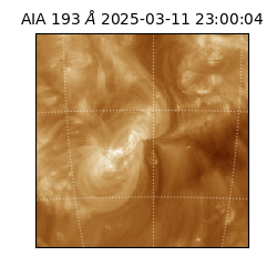 saia - 2025-03-11T23:00:04.843000