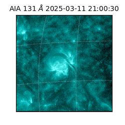 saia - 2025-03-11T21:00:30.622000