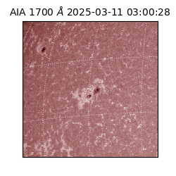 saia - 2025-03-11T03:00:28.717000