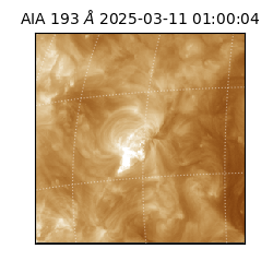 saia - 2025-03-11T01:00:04.843000