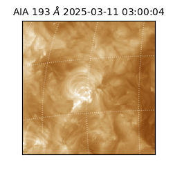 saia - 2025-03-11T03:00:04.843000