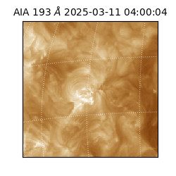 saia - 2025-03-11T04:00:04.843000