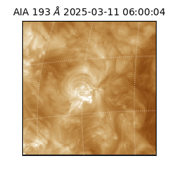 saia - 2025-03-11T06:00:04.847000