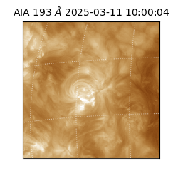 saia - 2025-03-11T10:00:04.835000