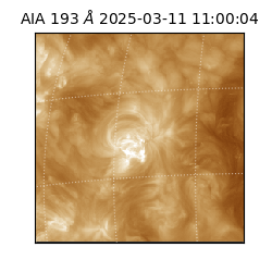 saia - 2025-03-11T11:00:04.843000