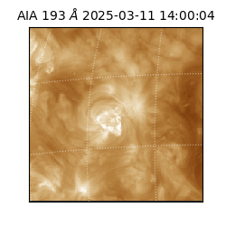 saia - 2025-03-11T14:00:04.843000