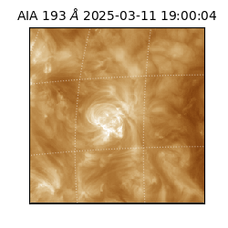 saia - 2025-03-11T19:00:04.836000