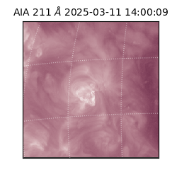 saia - 2025-03-11T14:00:09.626000