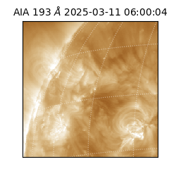 saia - 2025-03-11T06:00:04.847000