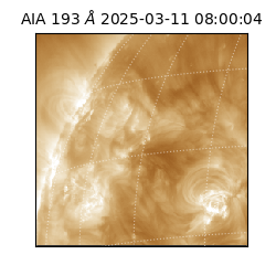 saia - 2025-03-11T08:00:04.843000