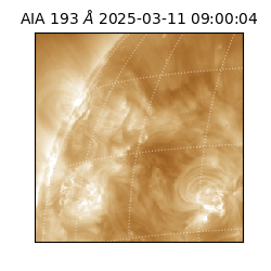 saia - 2025-03-11T09:00:04.843000