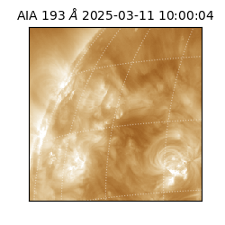 saia - 2025-03-11T10:00:04.835000