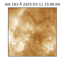 saia - 2025-03-11T15:00:04.843000