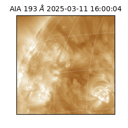 saia - 2025-03-11T16:00:04.843000