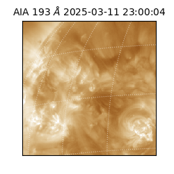 saia - 2025-03-11T23:00:04.843000