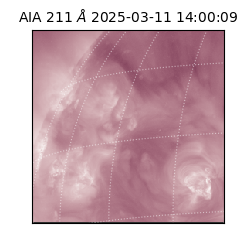 saia - 2025-03-11T14:00:09.626000