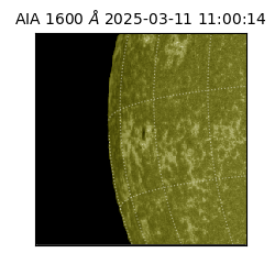 saia - 2025-03-11T11:00:14.126000