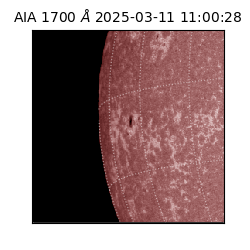 saia - 2025-03-11T11:00:28.733000