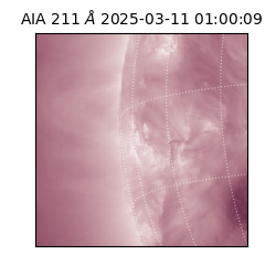 saia - 2025-03-11T01:00:09.633000