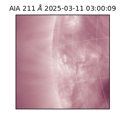saia - 2025-03-11T03:00:09.632000