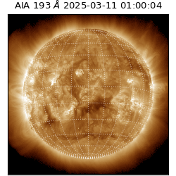 saia - 2025-03-11T01:00:04.843000